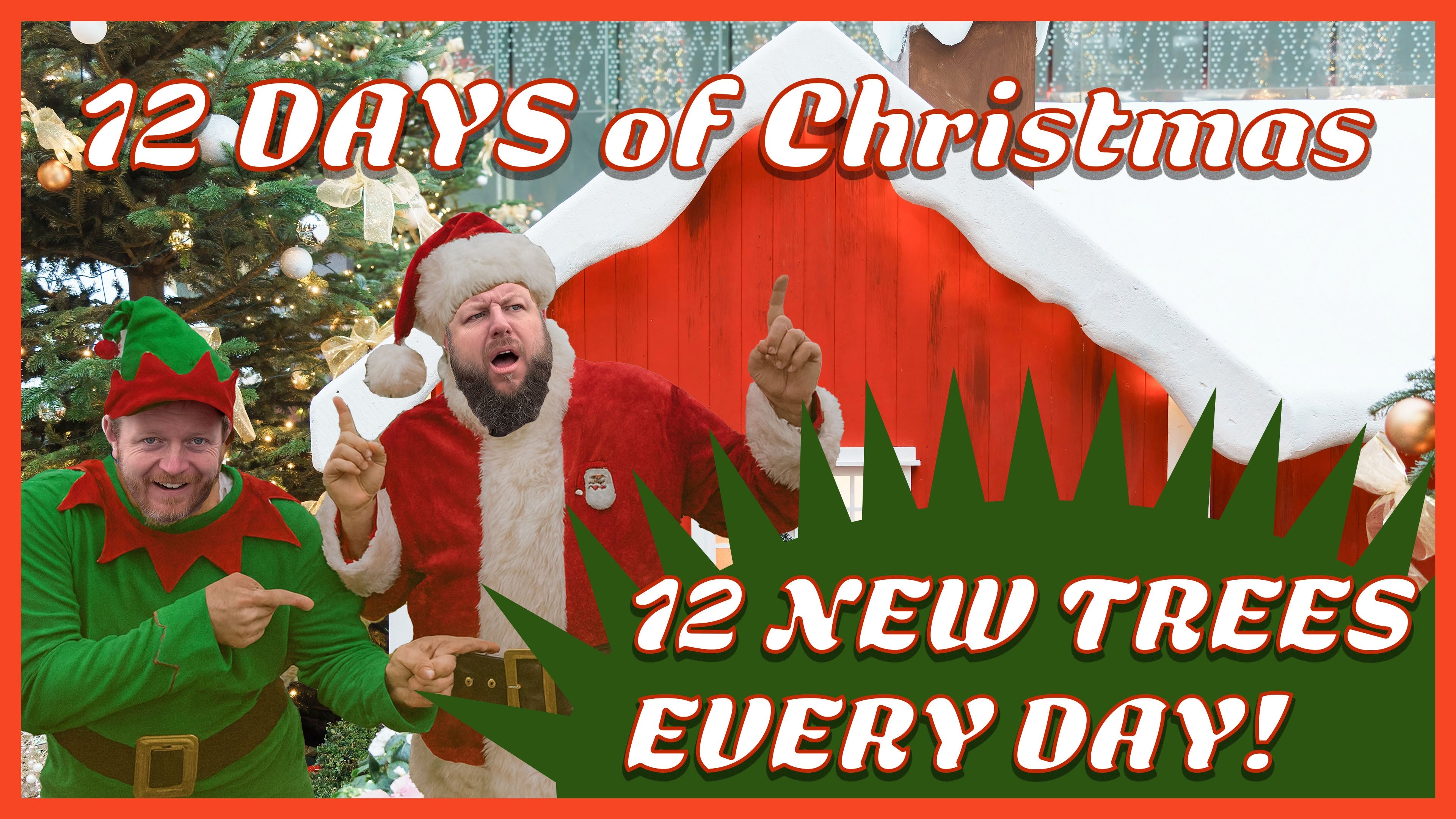 🎄 MrMaple’s 12 Trees of Christmas 🎄