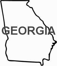 Buy Japanese Maples Georgia - Mr Maple │ Buy Japanese Maple Trees