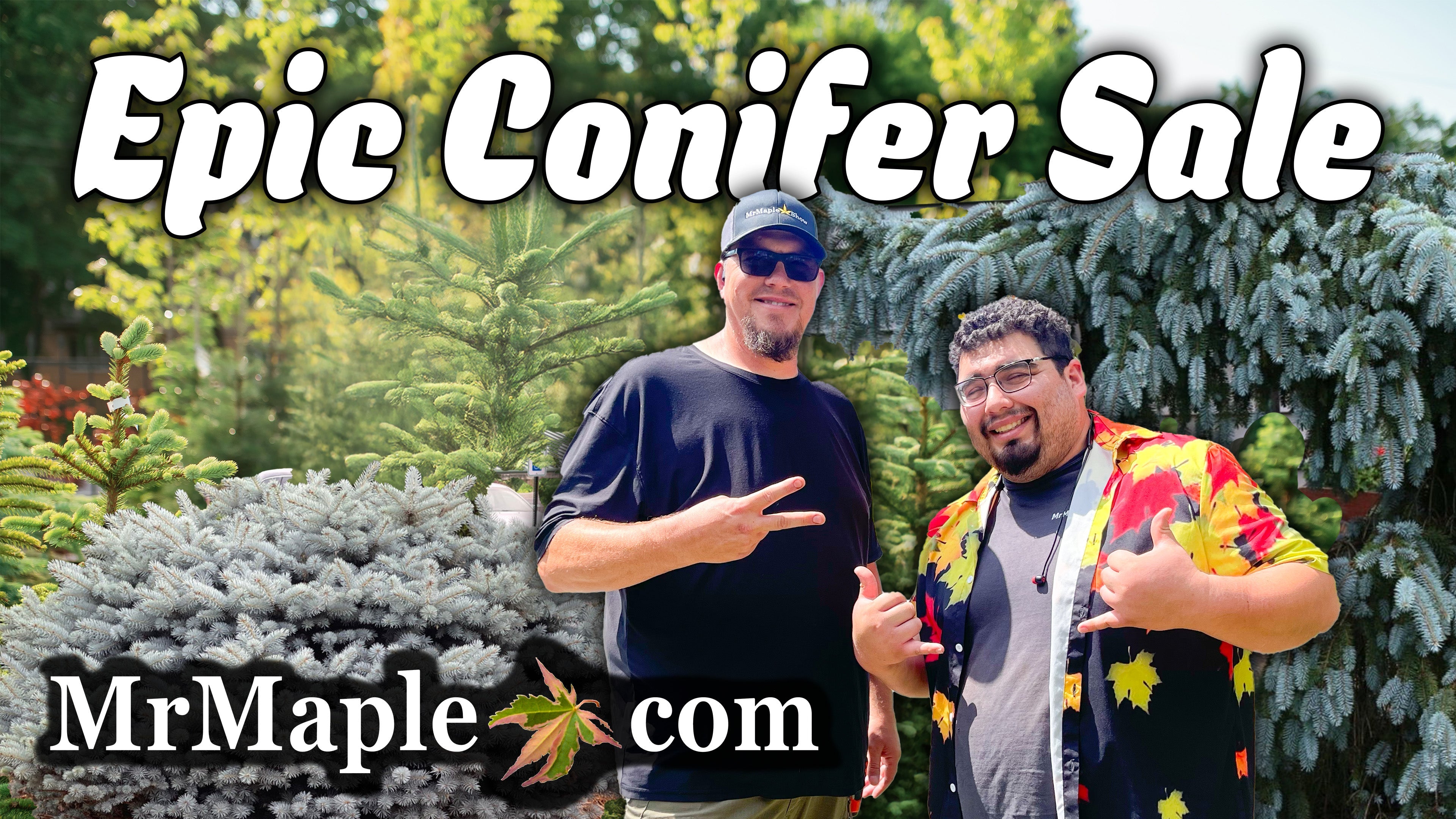 Epic Conifer Sale