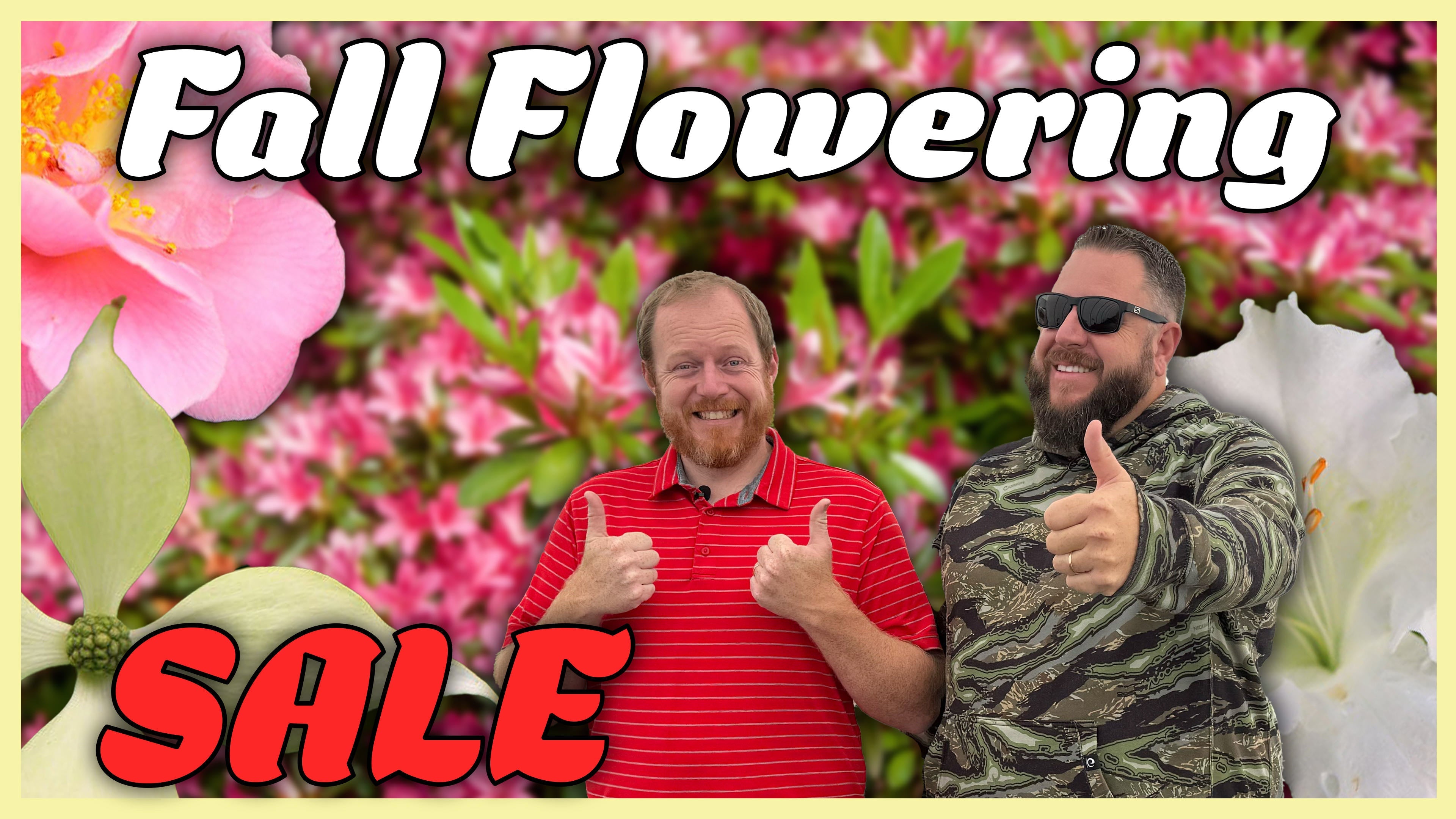 Fall Flowering Sale