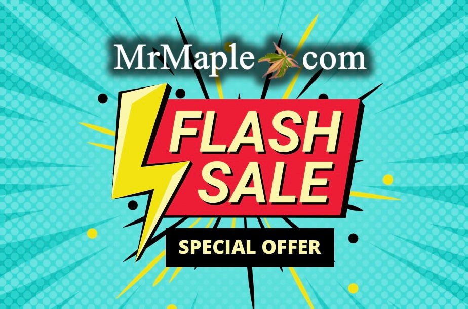 Flash Savings Sale On Japanese Maples and Plants! - Mr Maple │ Buy Japanese Maple Trees