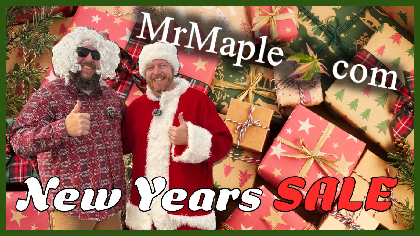 New Years Sale - Mr Maple │ Buy Japanese Maple Trees