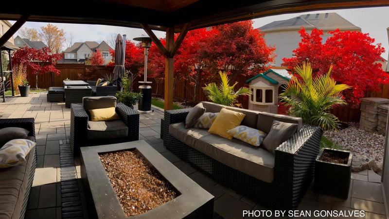 - Acer palmatum 'Fireglow' Japanese Maple - Mr Maple │ Buy Japanese Maple Trees