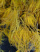 - Acer palmatum 'Lemon Lime Lace' Japanese Maple - Mr Maple │ Buy Japanese Maple Trees