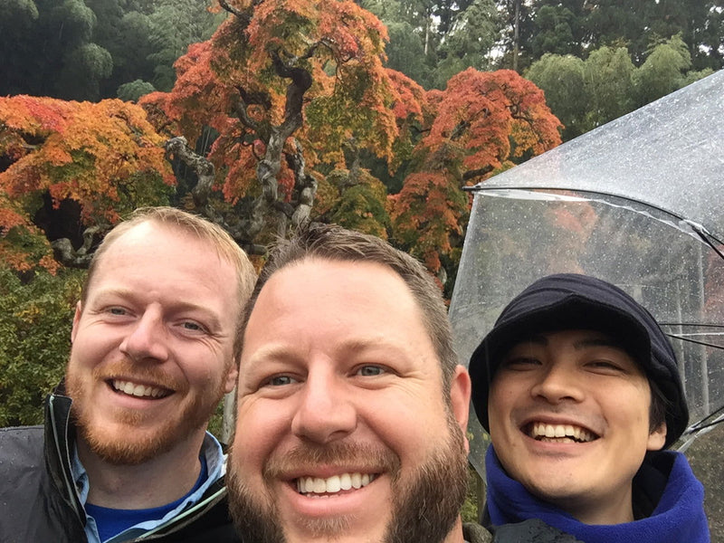 - Acer palmatum 'Nakakamado Weeping' Treasure Japanese Maple - Mr Maple │ Buy Japanese Maple Trees