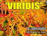 - Acer palmatum 'Viridis' Japanese Maple - Mr Maple │ Buy Japanese Maple Trees