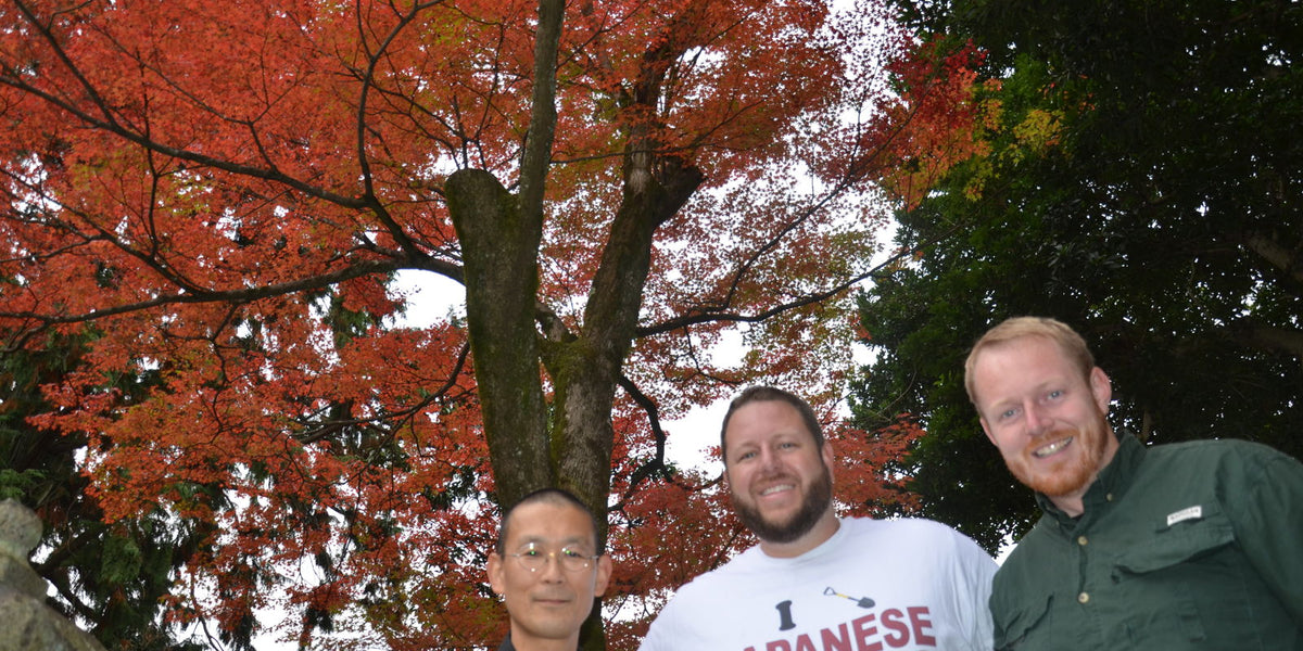 Acer_palmatum_from_Jojakko-