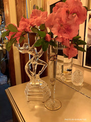 - Azalea 'Gumpo Pink’ Light Pink Satsuki Azalea - Mr Maple │ Buy Japanese Maple Trees