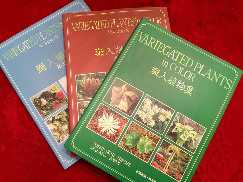 - Books - Variegated Plants in Color Complete Set (Vol. 1, 2, & 3 ) - Mr Maple │ Buy Japanese Maple Trees