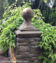 - Cornus kousa 'Kristin Lipka’s Variegated Weeper' Chinese Dogwood - Mr Maple │ Buy Japanese Maple Trees