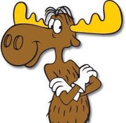 - Ginkgo biloba 'Bullwinkle' Male Spreading Dwarf Ginkgo Tree - Mr Maple │ Buy Japanese Maple Trees