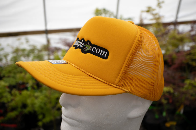 - 'MrMaple.com' - Puffy Trucker MrMaple Hat - Gold - Mr Maple │ Buy Japanese Maple Trees