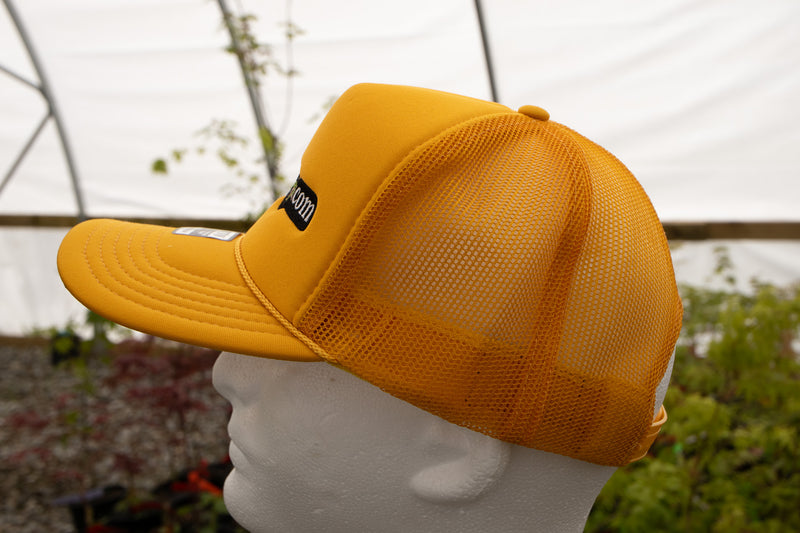 - 'MrMaple.com' - Puffy Trucker MrMaple Hat - Gold - Mr Maple │ Buy Japanese Maple Trees