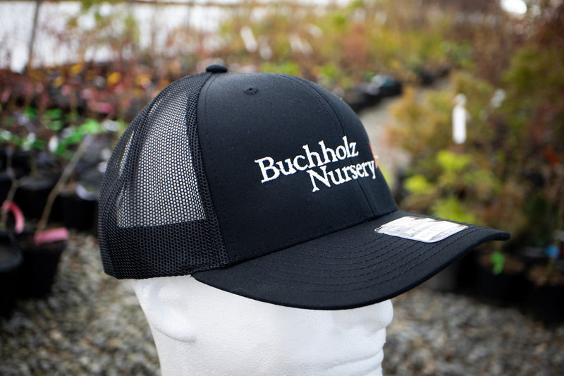 - Hat - 'Buchholz Nursery' - Richardson 112 Buchholz Hat - Black - Mr Maple │ Buy Japanese Maple Trees
