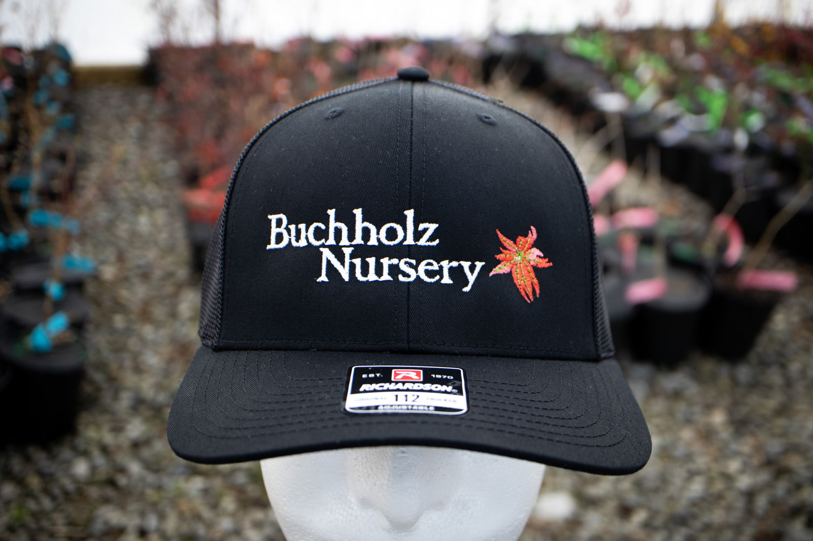 Hat - 'Buchholz Nursery' - Richardson 112 Buchholz Hat - Black