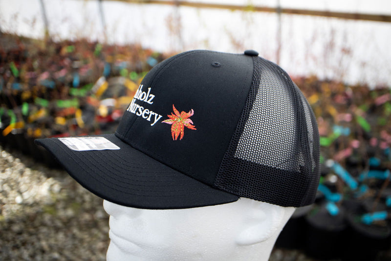 - Hat - 'Buchholz Nursery' - Richardson 112 Buchholz Hat - Black - Mr Maple │ Buy Japanese Maple Trees