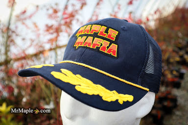 - Hat - 'Maple Mafia' | Oak Leaf Captain Trucker | MrMaple Hat - Navy & Ornamental - Mr Maple │ Buy Japanese Maple Trees