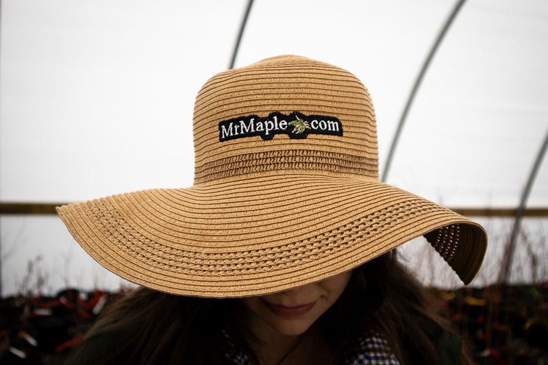 - Hat - 'Mr.Maple.com' - Sun Hat - Tan - Mr Maple │ Buy Japanese Maple Trees