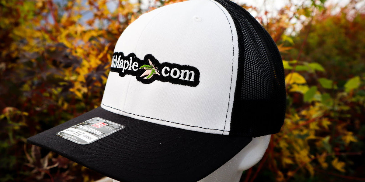 R*様 andmaryMary logo cap BLACK Amazon.com: Red Monkey Designs Virgin Mary Primero 2025 New