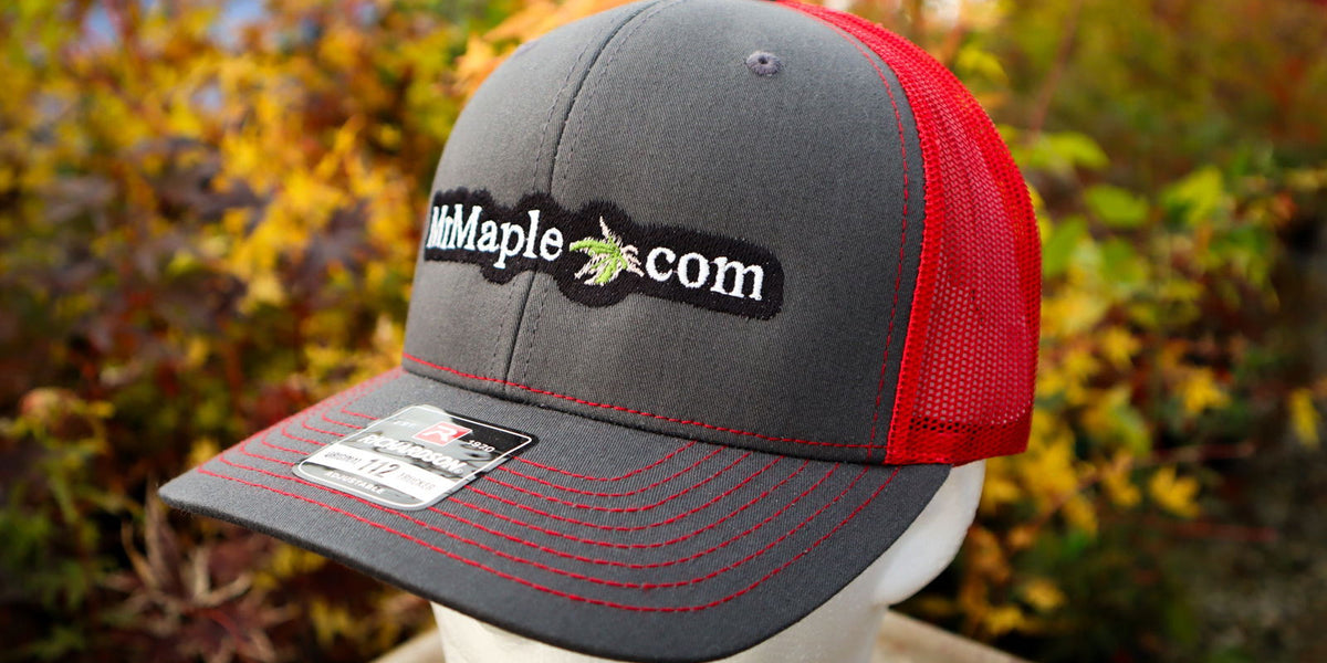Hat_-_MrMaple.com_-