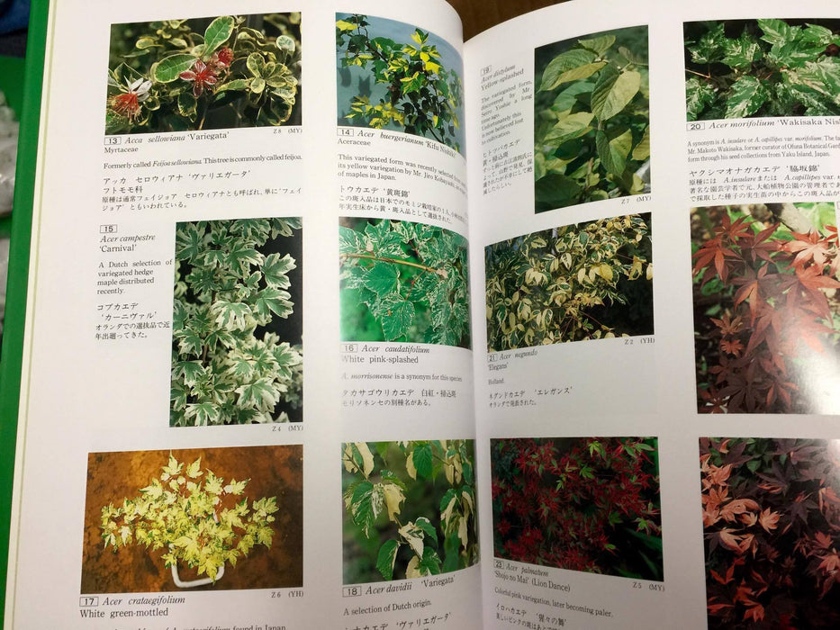 Books - Variegated Plants in Color Complete Set (Vol. 1, 2, & 3 )